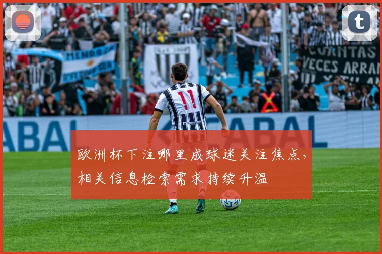 欧洲杯下注哪里成球迷关注焦点,相关信息检索需求持续升温