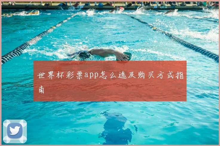 世界杯彩票app怎么选及购买方式指南