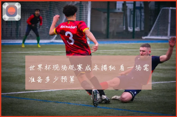世界杯现场观赛成本揭秘 看一场需准备多少预算