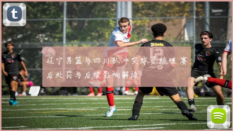 辽宁男篮与四川队冲突球员梳理 赛后处罚与后续影响解读