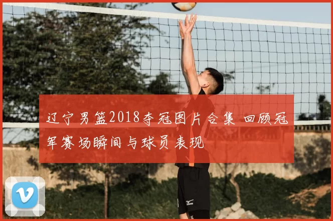 辽宁男篮2018夺冠图片合集 回顾冠军赛场瞬间与球员表现